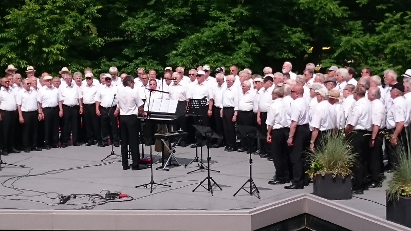 Auf der Seebühne 2017 Luisenpark